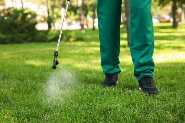 Best Rat Extermination Near Me  in Grant Valkaria, FL