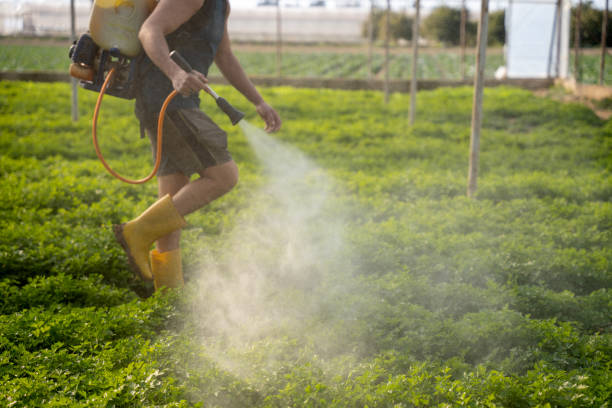 Pest Prevention Services in Grant Valkaria, FL